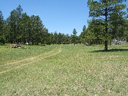 The meadow at Santa Claus